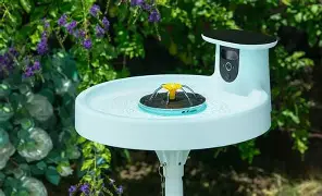Is the Birdfy Bird Bath Pro Still Good in 2026? Long-Term Review